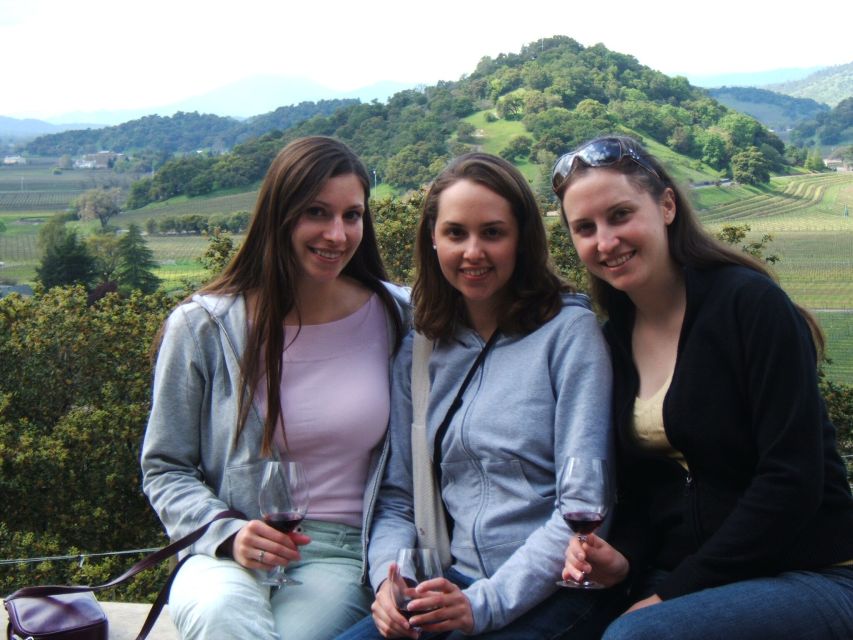 Napa Valley: Guided Wine Tour with Picnic Lunch - Views and the value of letting someone else drive