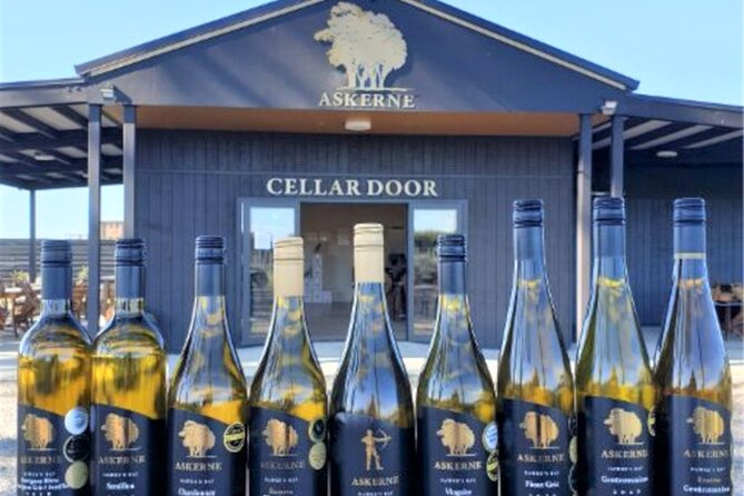 Napier: Afternoon Wine Tasting + visit Silky Oaks Chocolates - Trinity Hill offers the most leisurely tasting