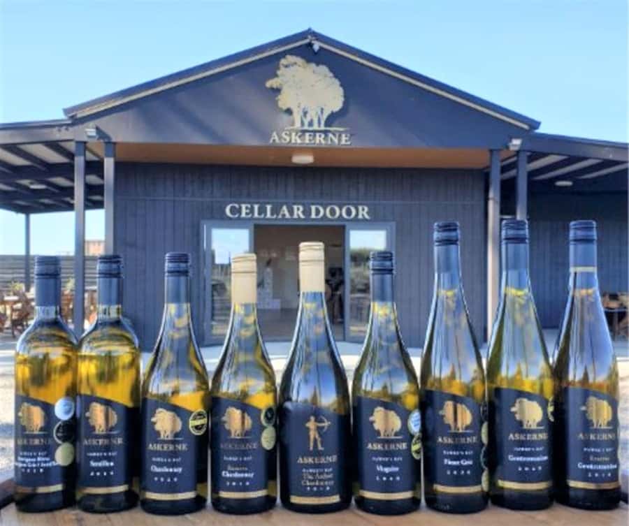 Napier: Afternoon Winery Tour Tasting at 3 Great Wineries - Who should book this wine tour?