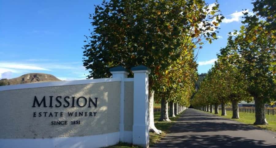 Napier: Afternoon Winery Tour Tasting at 3 Great Wineries - Oak Avenue and Silky Oaks Chocolates