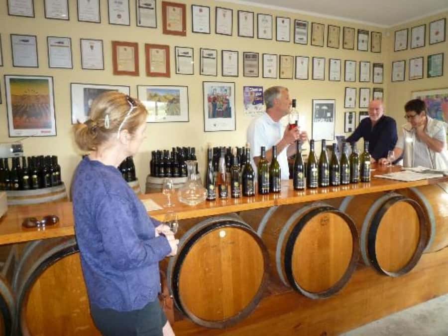 Napier: Afternoon Winery Tour Tasting at 3 Great Wineries - Trinity Hill, cheese, and the final tasting