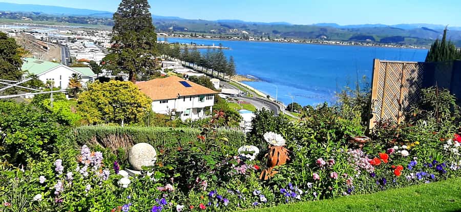 Napier: Art-Deco + Te Mata Peak+ Garden Walk + Wine Tasting - Key points at a glance