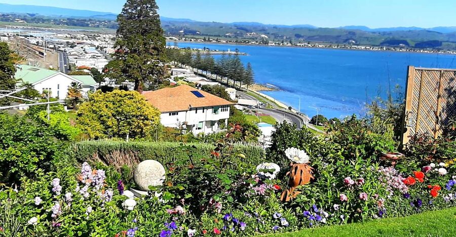 Napier: Art-Deco + Te Mata Peak+ Garden Walk + Wine Tasting - Weather, clothing, and accessibility