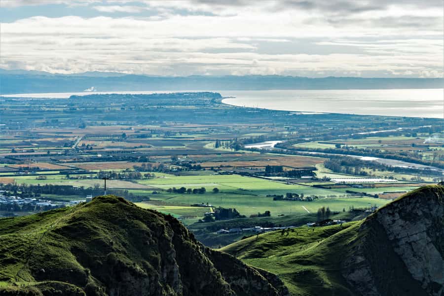 Napier: Art-Deco + Te Mata Peak+ Garden Walk + Wine Tasting - Bluff Hill and the ship below