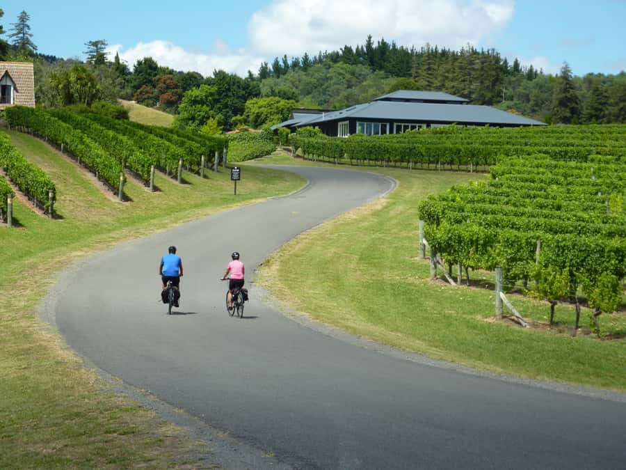 Napier: Cape Coast Winery Tour on E-Bikes - Key points to know before booking