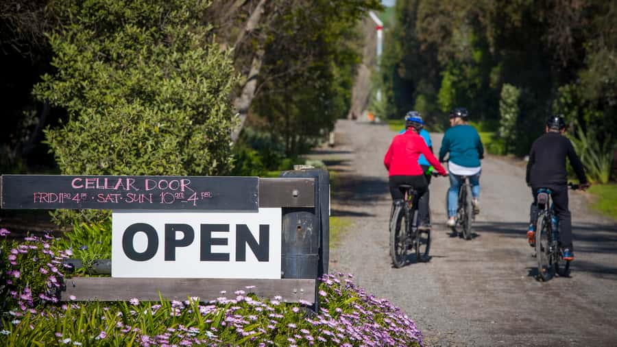 Napier: Cape Coast Winery Tour on E-Bikes - What the $89 price really covers
