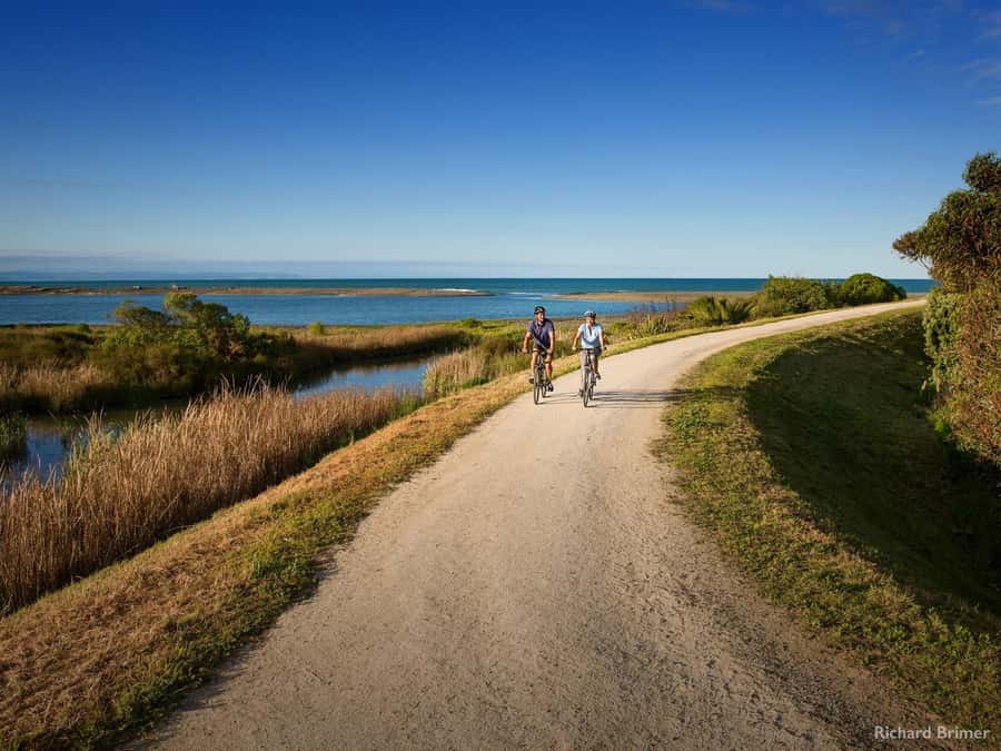 Napier: Cape Coast Winery Tour on E-Bikes - Meeting in Napier and riding to Cape Kidnappers