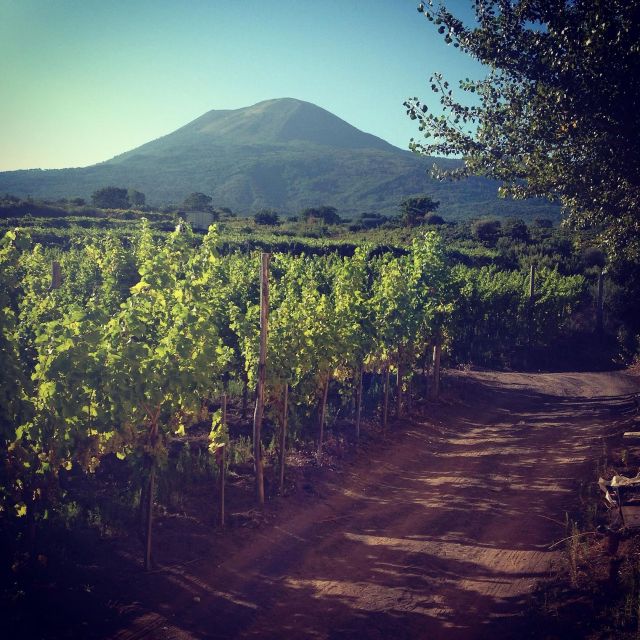 Naples: Mount Vesuvius Vineyard Tour w/ Lunch & Wine Tasting - How long should you plan for?