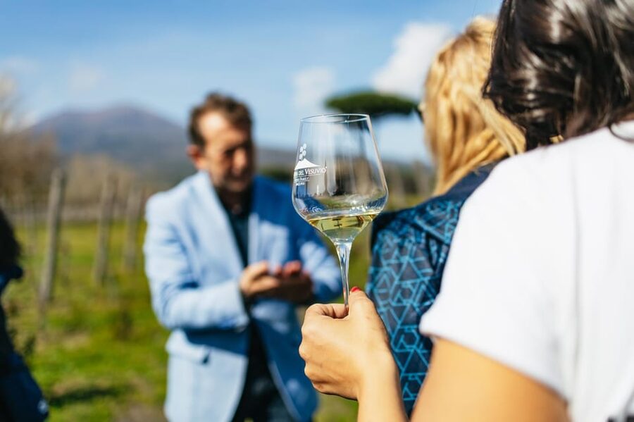 Naples: Pompeii and Mt. Vesuvius with Lunch and Wine Tasting - Pompeii with an archaeologist for two hours