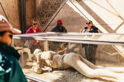 Pompeii and Mt. Vesuvius with Lunch and Wine Tasting