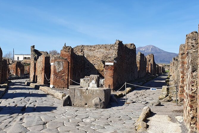 Naples: Tour of Mt Vesuvius and Pompeii w/ Lunch & Wine tasting - Why This Combination Works in Naples