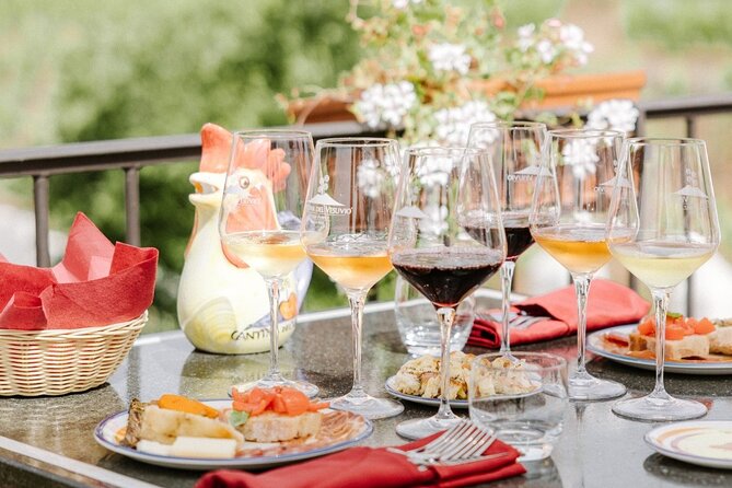 Naples: Tour of Mt Vesuvius and Pompeii w/ Lunch & Wine tasting - Who Will Enjoy This Day Most