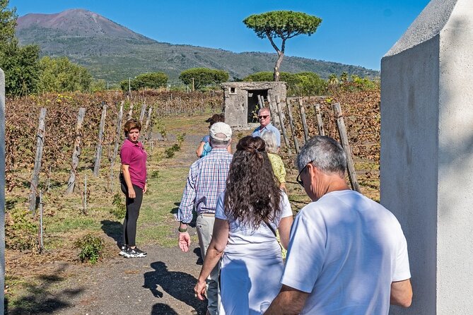 Naples: Tour of Mt Vesuvius and Pompeii w/ Lunch & Wine tasting - My Verdict: Book It If You Want Variety