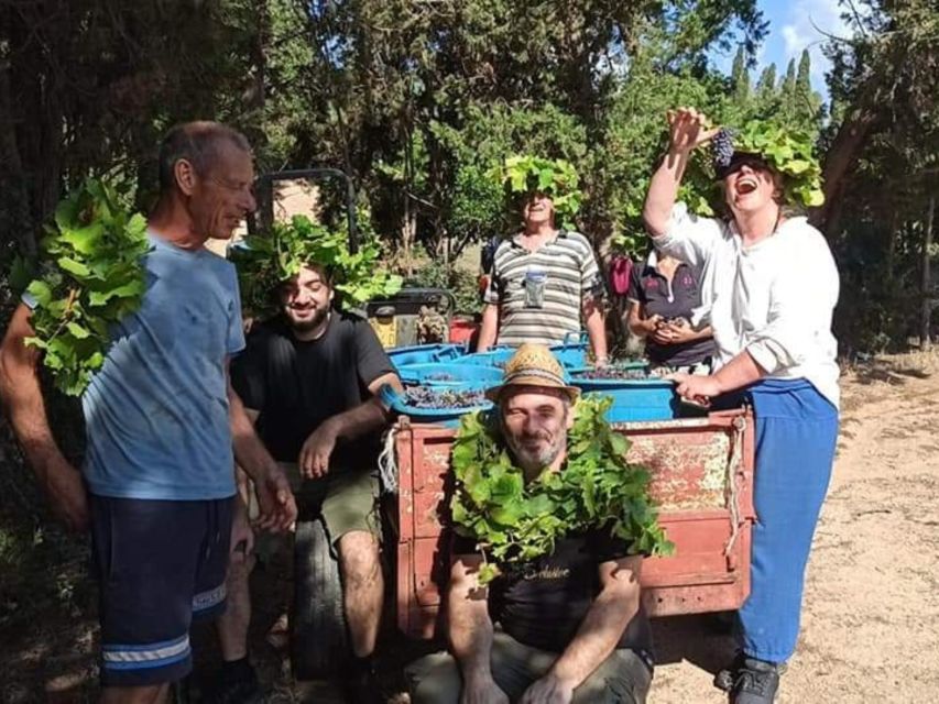 Near Cagliari: The World of Natural Wine at "In Our Garden" - Is $53 a fair price?