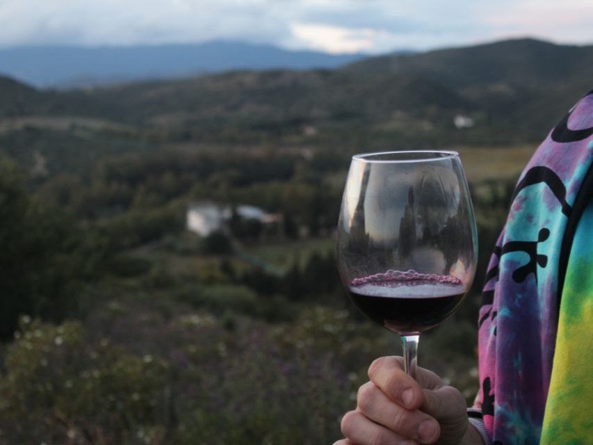 Near Cagliari: The World of Natural Wine at "In Our Garden" - A merenda under the trees