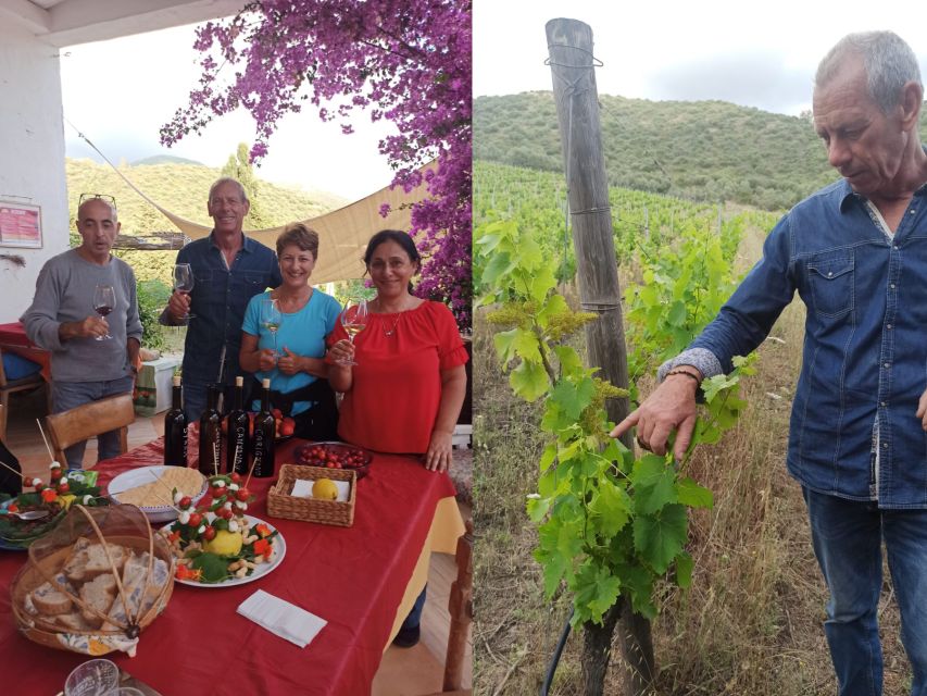 Near Cagliari: The World of Natural Wine at "In Our Garden" - Hammocks, herbal tea, and time to slow down