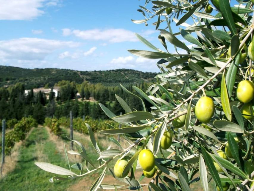 Near Cagliari: The World of Natural Wine at "In Our Garden" - The lavender mazzetto makes a good souvenir