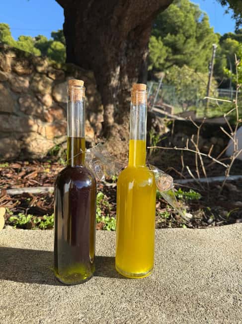Near Malaga: Mijas Organic Vineyard, 5 Wines, 2 Oils & Tapas - A private vineyard above Mijas