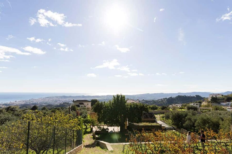 Near Malaga: Mijas Organic Vineyard, 5 Wines, 2 Oils & Tapas - Five organic wines, with seasonal surprises