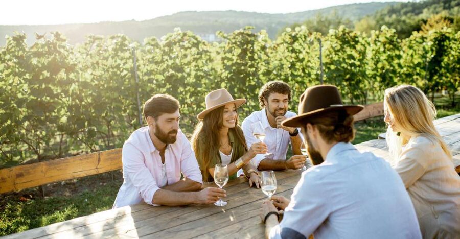 Newcastle: Boutique Hunter Valley Wine Tour - Practical Details Before You Book
