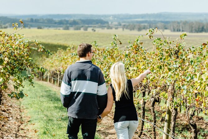 Newcastle: Boutique Hunter Valley Wine Tour - The Drive Out With Nathan or Keira