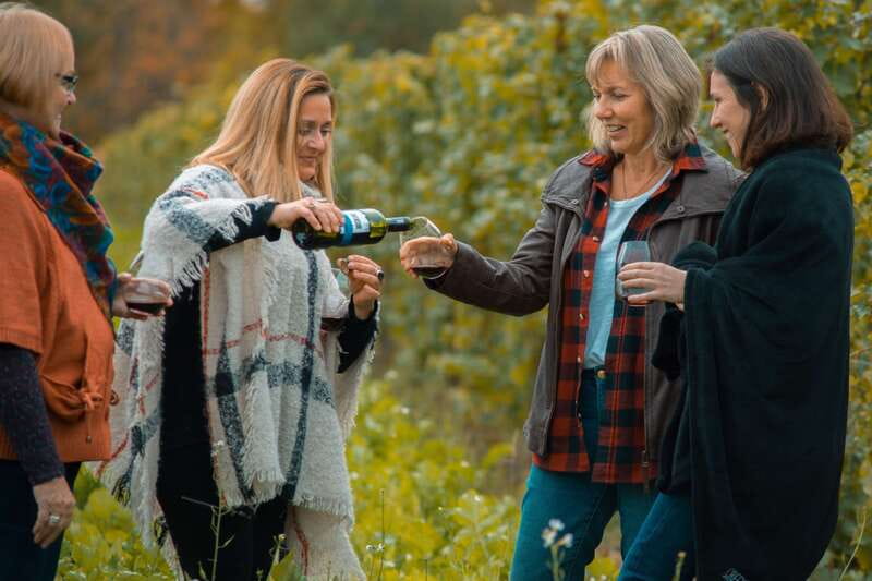 Niagara, Canada: Half-Day Winery Tour with Tastings - Pillitteri Estates and Niagara’s Icewine tradition