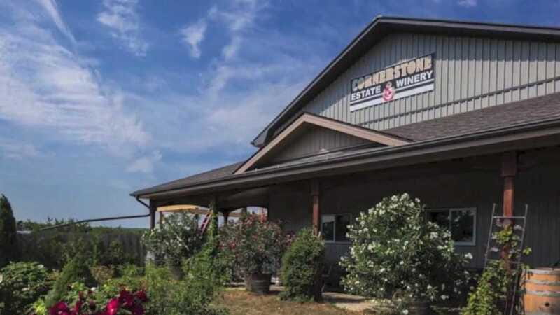 Niagara Falls: Winter Niagara Wine Tour with Transportation - The Guides Can Shape the Whole Day