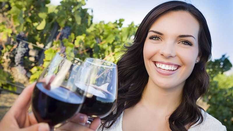 Niagara-on-the-Lake: Sunset Wine Tour with Dinner - The guides are a real strength