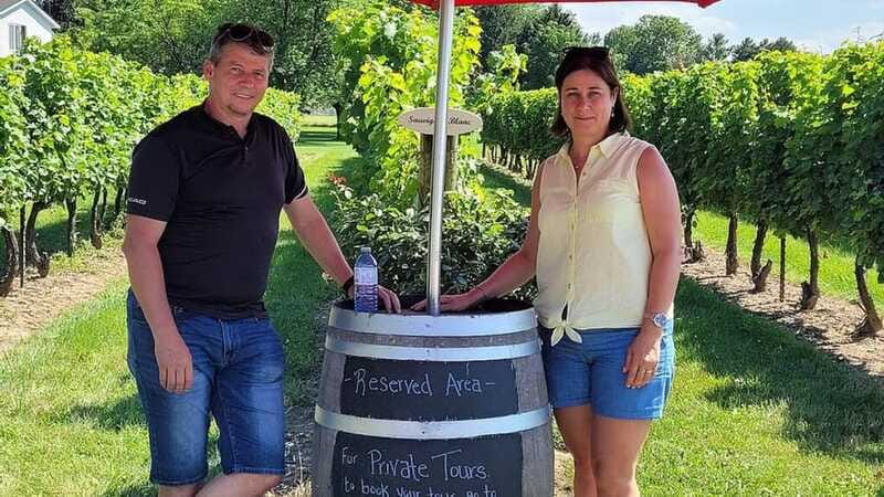 Niagara-on-the-Lake: Sunset Wine Tour with Dinner - Practical tips for getting more from the day