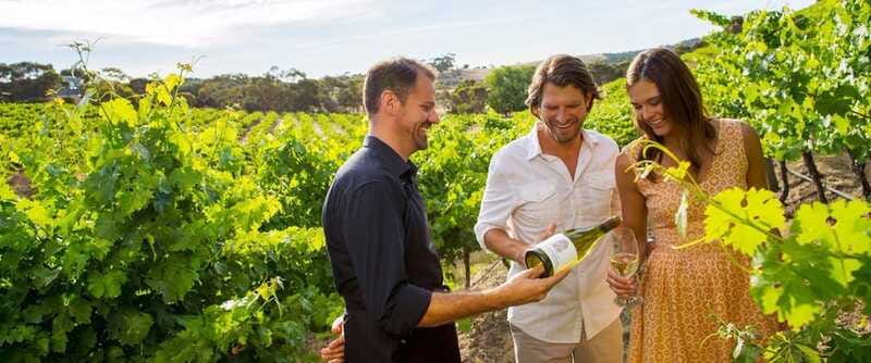 Niagara-on-the-Lake: Wine Tour with Tastings and Lunch - Who should book this Niagara wine tour