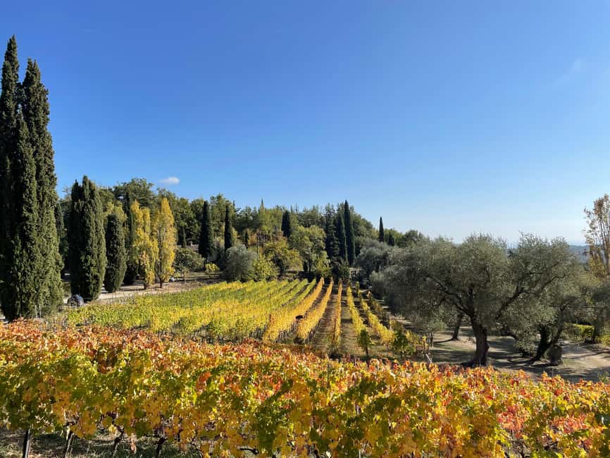 Nice: Full-Day Côtes de Provence Wine Tour - Quick take: what makes this tour worthwhile
