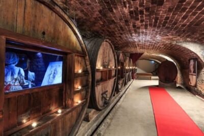 Full-Day Côtes de Provence Wine Tour