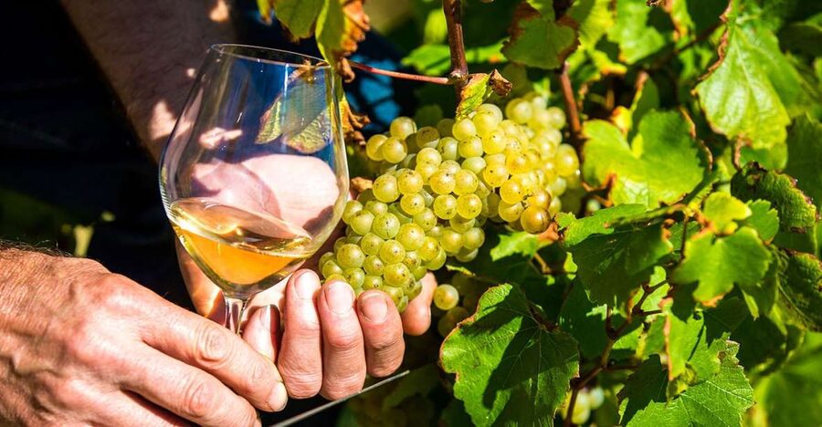 Nice: Provence Village Tour with Wine and Produce Tasting - Key points to know before booking