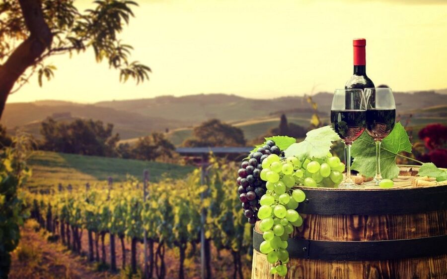 Nice: Provence Village Tour with Wine and Produce Tasting - Gourdon and the French Riviera from above