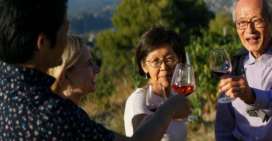 Nice: Vineyard Tour with Wine Tasting - Key points to know before you go