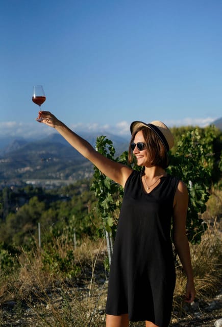 Nice: Vineyard Tour with Wine Tasting - The one-hour vineyard and cellar tour