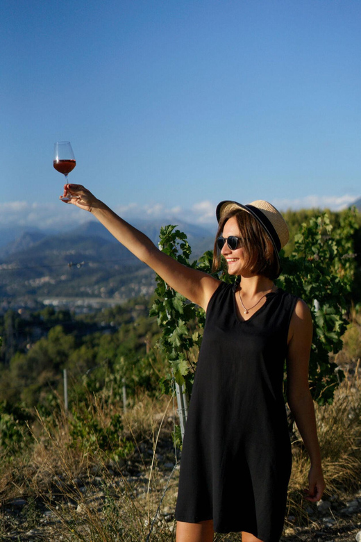 Nice: Vineyard Tour with Wine Tasting - The 30-minute tasting: three wines and useful lessons