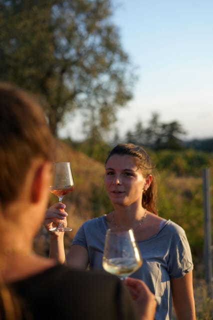 Nice: Vineyard Tour with Wine Tasting - Practical tips for a better visit