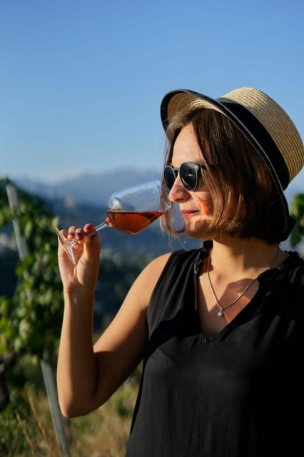 Nice: Vineyard Tour with Wine Tasting - Is the Nice vineyard tour worth booking?