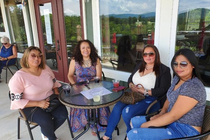 North Georgia Mountains TWO Vineyard Wine Tasting Tour - Who will enjoy this tour most?