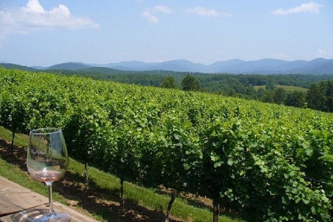 North Georgia Wine Country Tour from Atlanta - A full day from Atlanta to the North Georgia hills