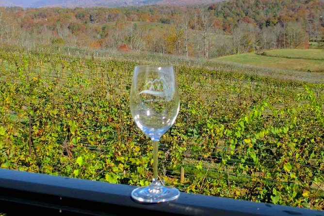 North Georgia Wine Country Tour from Atlanta - Who will enjoy this wine tour most