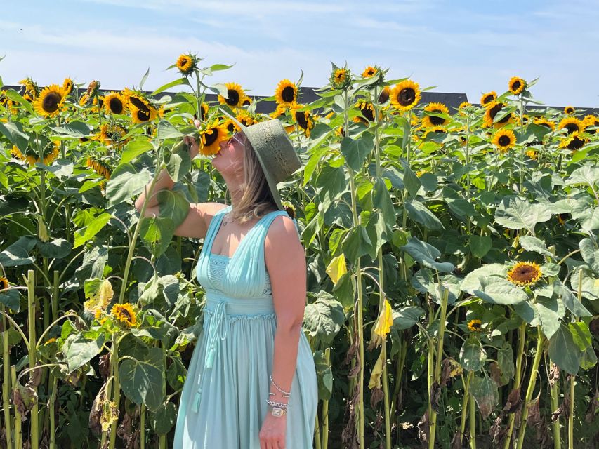 NYC: Long Island Sommelier-Guided Wine Tasting Tour - Who Will Enjoy This Wine Tour Most?