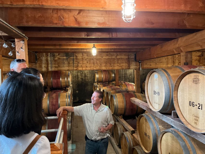 NYC: Long Island Sommelier-Guided Wine Tasting Tour - My Take: A Practical Day Trip for Wine Beginners and Fans