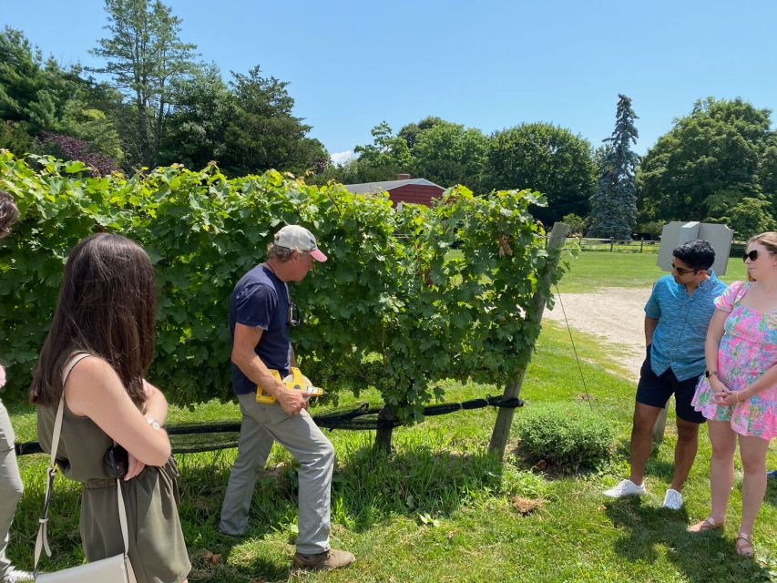 NYC: Long Island Sommelier-Guided Wine Tasting Tour - First Winery: Time to Taste and Ask Questions