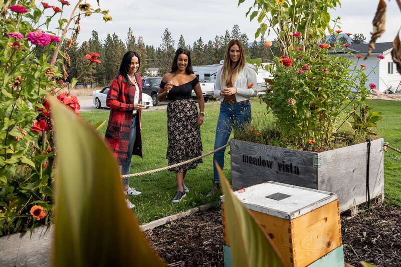 Okanagan Bee Tour, Wine Tasting and Lunch at Kelowna Winery - Honey wine tasting with a local identity