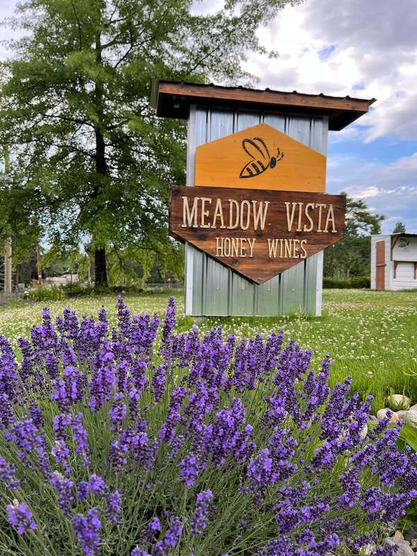 Okanagan Bee Tour, Wine Tasting and Lunch at Kelowna Winery - Is $50 a fair price?