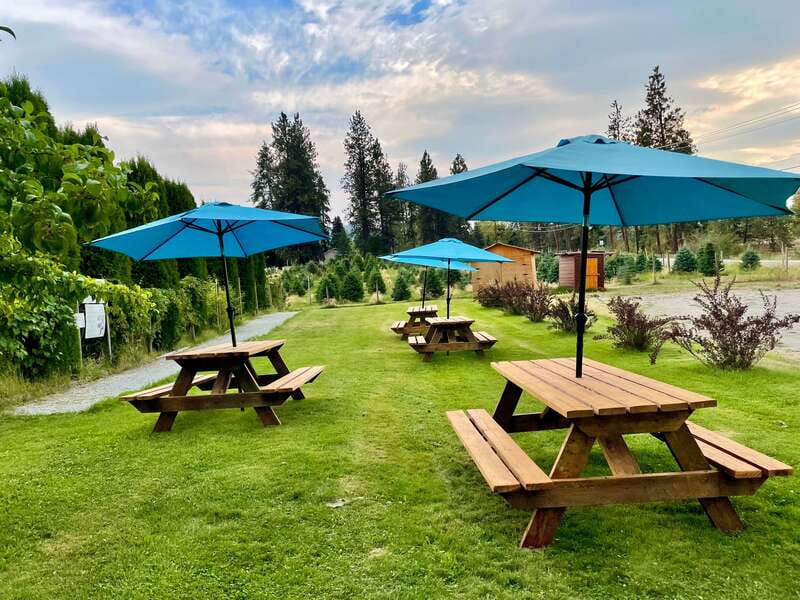 Okanagan Bee Tour, Wine Tasting and Lunch at Kelowna Winery - Who will enjoy this most?