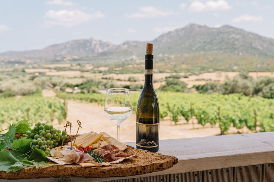 Olbia: Gallura Winery Guided Tour with Tasting - The experience at a glance