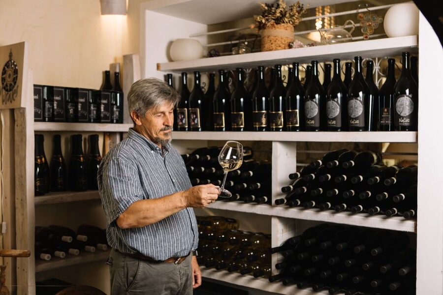 Olbia: Gallura Winery Guided Tour with Tasting - Who should book this visit?